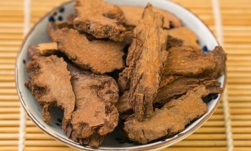 总感冒喝转移因子得喝多长时间-儿童感冒期间可以喝转移因子口服液吗网 - 网站提供总感冒喝转移因子得喝多长时间小常识、儿童感冒期间可以喝转移因子口服液吗一天几次