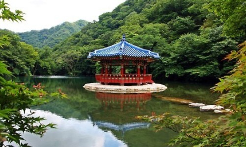 感冒喝转移因子的注意事项-儿童感冒期间可以喝转移因子口服液吗网 - 网站提供总感冒喝转移因子得喝多长时间小常识、儿童感冒期间可以喝转移因子口服液吗一天几次